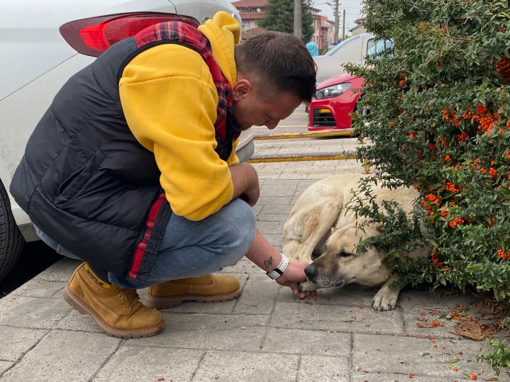 Sokak köpeğinde esnafa ahde vefa 