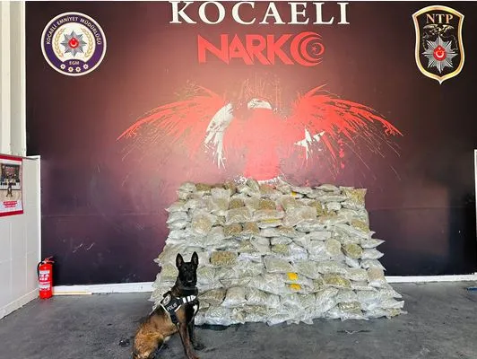  Narkotik Köpeği Talisca ile birlikte yapılan aramada   TIR DORSESİNİN TABAN KISMINDA YÜKLÜ MİKTARDA UYUŞTURUCU MADDE ELE GEÇİRİLDİ 