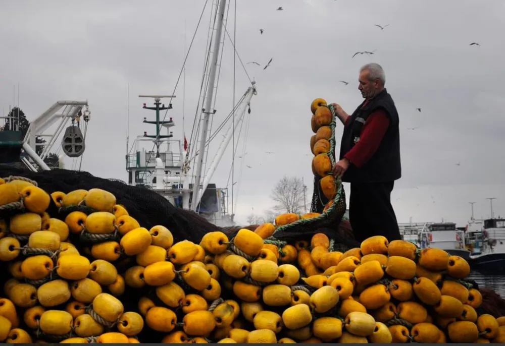 GFSD Üyeleri Ulusal Fotoğraf Yarışmasında üstün başarı elde etti 