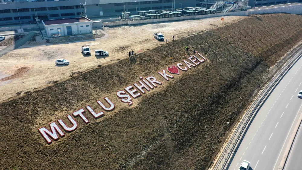 Şehir Hastanesi bağlantı yolu güzergâhı yeşile bürünüyor  BÜYÜKŞEHİR GELECEĞE NEFES OLUYOR