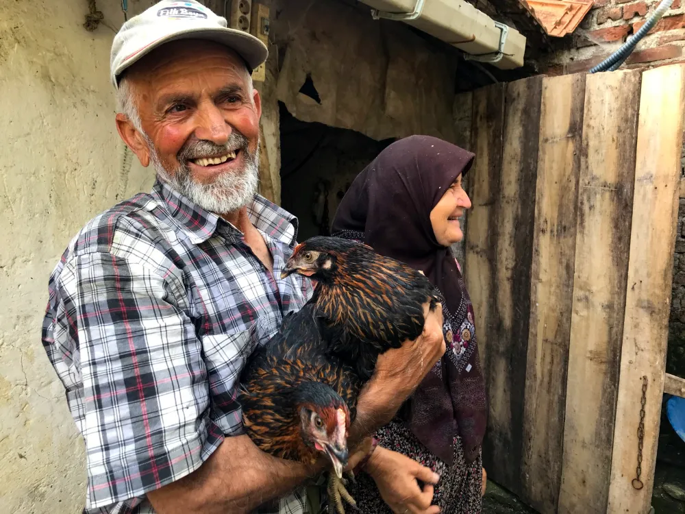 Üreticiye yüzde 50 hibeli yumurta tavuğu desteği