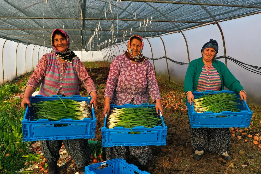 Büyükşehir çiftçilerin yüzünü güldürmeye devam ediyor   YÜZDE 50 HİBELİ SERA DESTEĞİ BAŞLADI