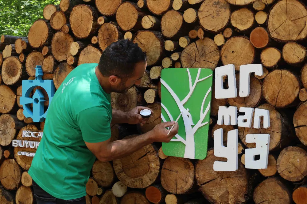 Ormanya’da yaz hazırlıkları tamam