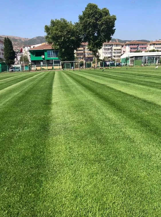 Antrenmanlar Modern Zeminde yapılacak