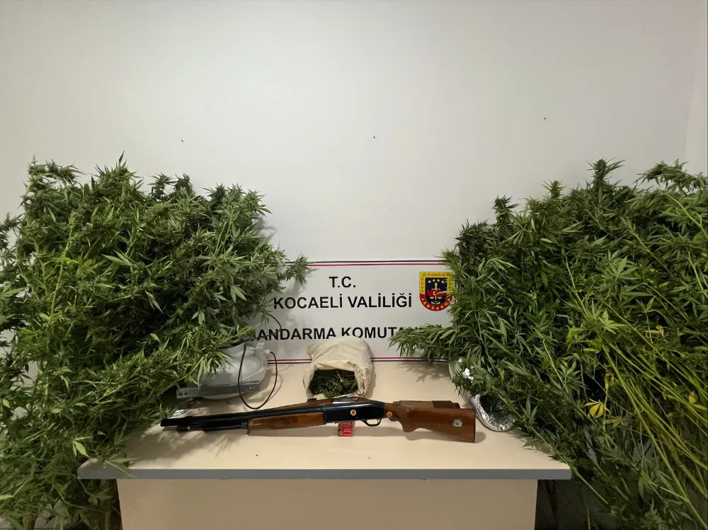 Karamürsel’de Jandarmadan Uyuşturucu Operasyonu