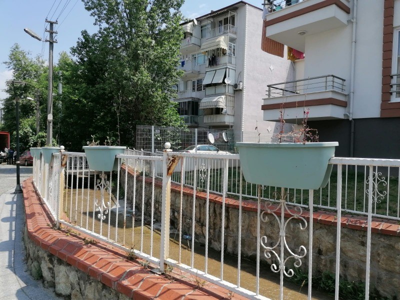 Dere sokakta saksılar bu sene de baş kaldı