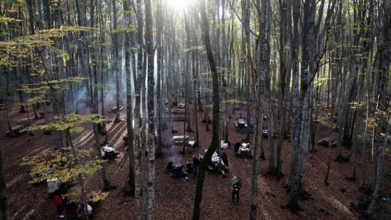 Eriklitepe Tabiat Parkı yaz kış demeden GÜZELLİĞİ İLE BÜYÜLÜYOR