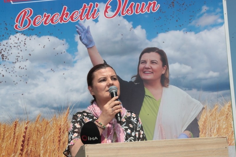 EKİLEN YEREL TOHUMLAR EKMEKLİK BUĞDAYA DÖNÜŞTÜ