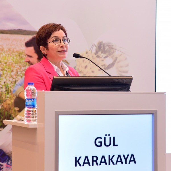 Dikkat! Her Şişlik ve Kızarıklık Alerji Olmayabilir