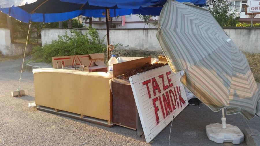 Fındık tezgahları var ama fındık yok