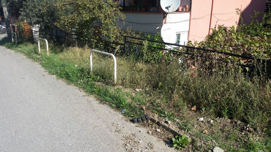 Çanakkale Caddesi’nde kaldırımlar yabani otlardan geçilmiyor