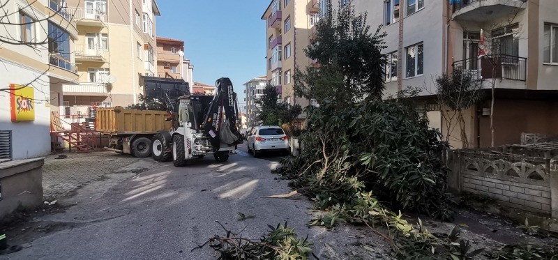 Park ve bahçeler kesti, Temizlik İşleri temizledi