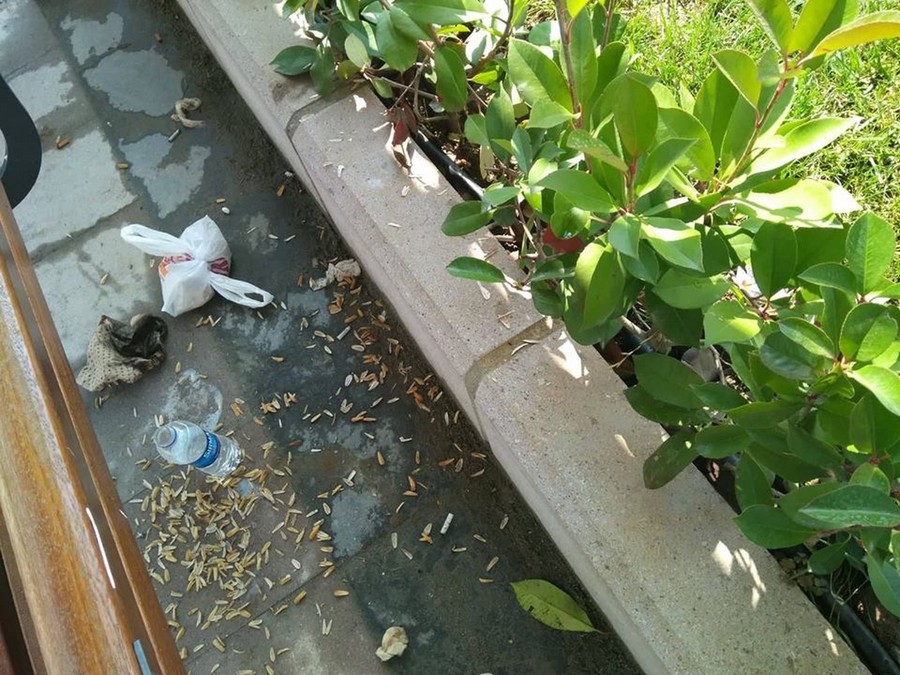 Cumhuriyet Park’ı daha açılmadan kirletildi