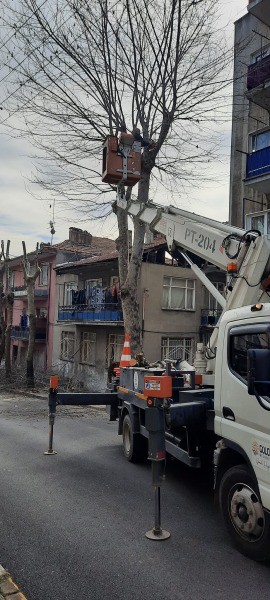 Gölcük Merkez Mahallesi’nde ağaç budama çalışması yapıldı