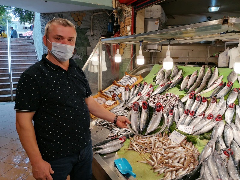 Sezonun başlamasıyla tezgahlar balıklar ile doldu BU SEZON PALAMUT’A DOYACAĞIZ