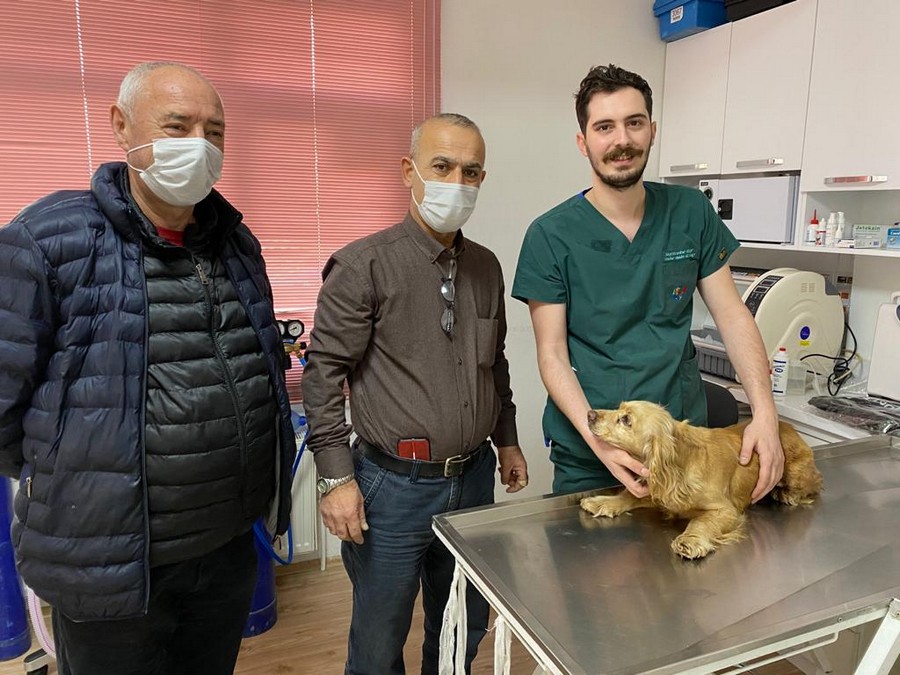 GESOTİM’in sembolü “Virgül” Veteriner Hekim Ali Anaç sayesinde SAĞLIĞINA KAVUŞTU