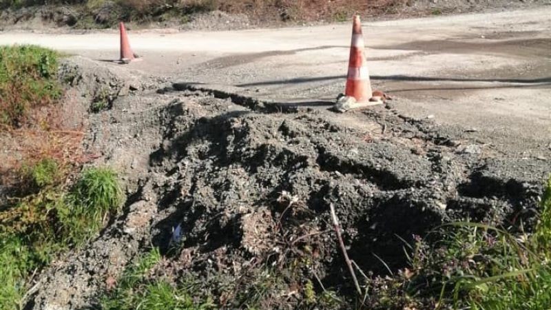 Halıdere Severler Grubu’ndan yetkililere çağrı