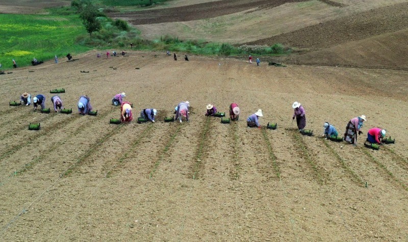 Kooperatif ve birliklere hibe desteği başvuruları 22 Nisan’da sona eriyor