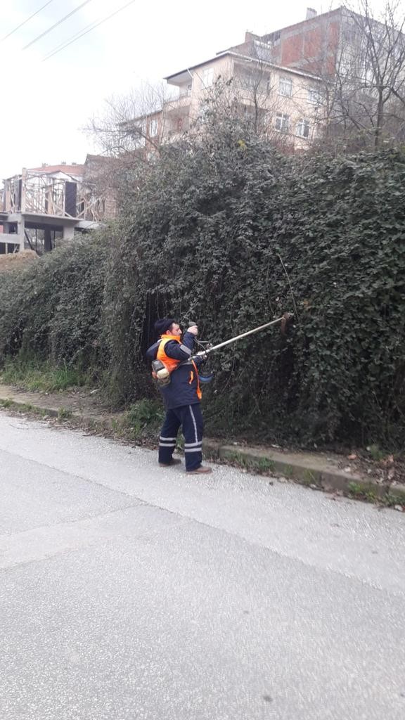 Gölcük’te yabani otlar kesiliyor 