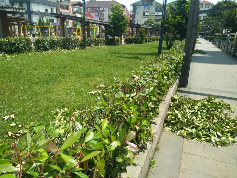 Belediye ekipleri Cumhuriyet Parkı’nda otları temizledi/VATANDAŞLAR TEŞEKKÜR ETTİ