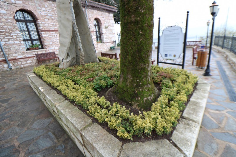 Tarihi Orhan Camii çiçek açtı