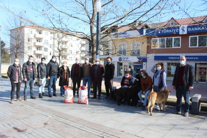 Gölcük Kültür Dernekleri Platformu’ndan örnek etkinlik ‘SOKAK HAYVANLARI CANIMIZDIR’