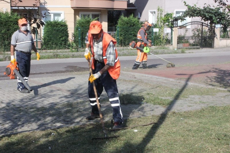 Değirmendere genelinde ot kesimi yapıldı