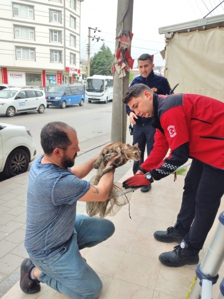 Duvara sıkışan kediyi Büyükşehir İtfaiyesi kurtardı