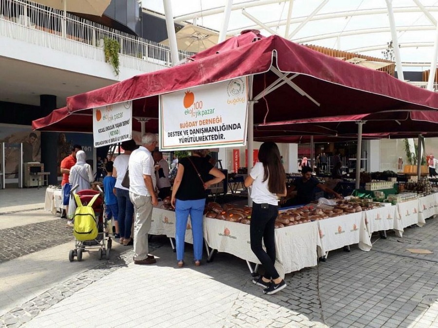 Organik tarım için tohum takası yapıldı