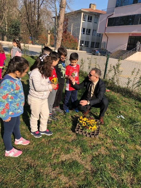 Piri Reis İlkokulu 2-D sınıfından örnek davranış  OKUL BAHÇESİNİ MENEKŞELER İLE DONATTILAR