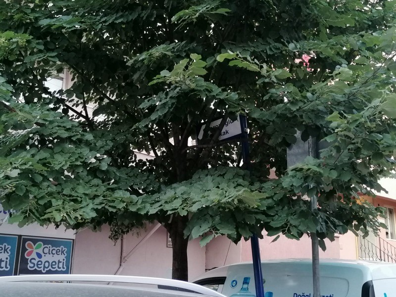 Tabela var ama görebilene